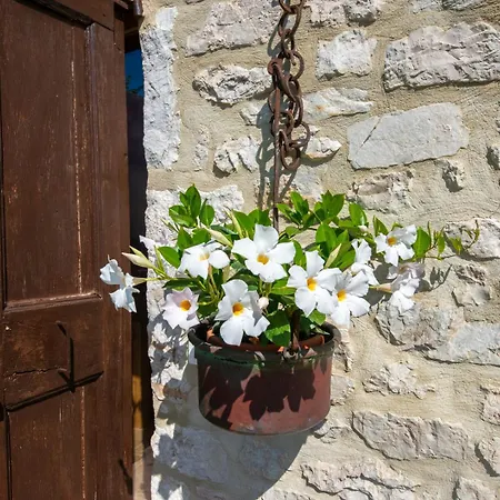 Le Tradizioni * 트레비