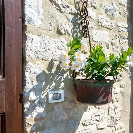 Casa rural Le Tradizioni Trevi