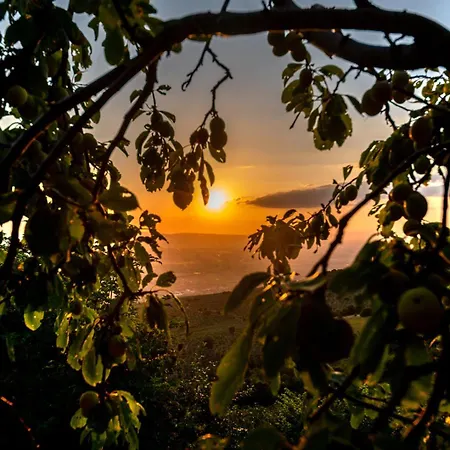 Le Tradizioni Casa rural Trevi